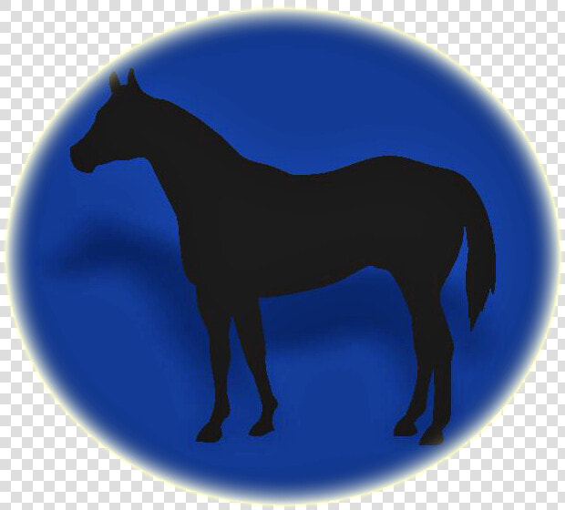 Stallion  HD Png DownloadTransparent PNG