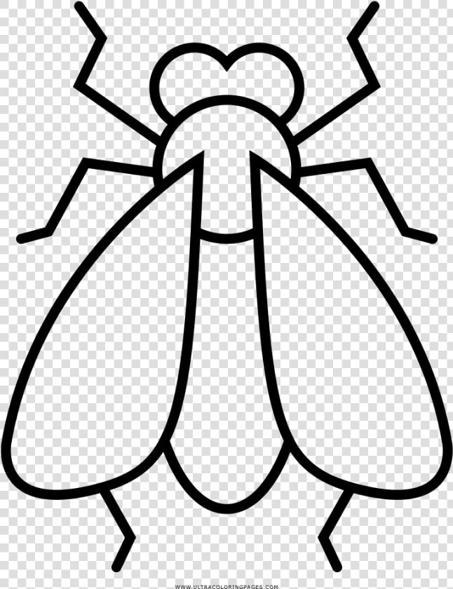 Fly Coloring Page   Dibujo De Una Mosca Para Colorear  HD Png DownloadTransparent PNG