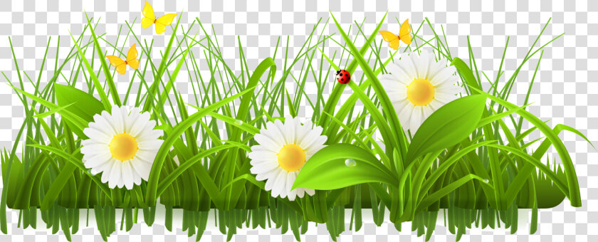 Daisy Clipart Springtime Flower   Flower Grass Border Design  HD Png DownloadTransparent PNG