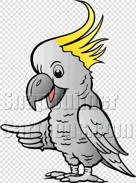 Sulphur Cockatoo Pointing Left   Illustration  HD Png DownloadTransparent PNG