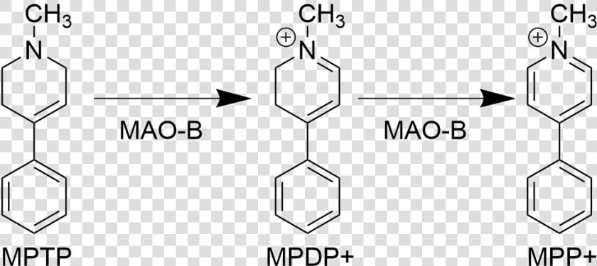 Mpp Biosynthesis Pathway   Mptp Mpp   HD Png DownloadTransparent PNG