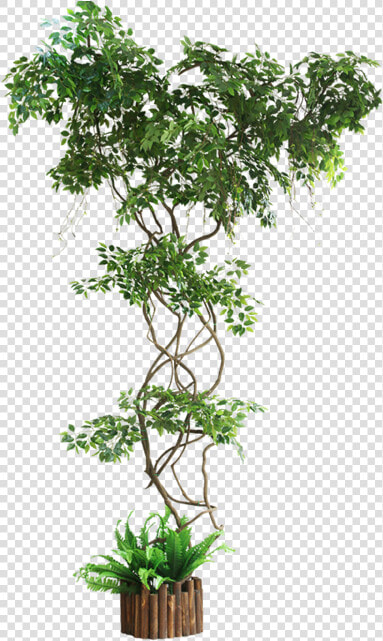 Ginkgo Fake Branch Simulation Leaves Balcony Package   Artificial Ivy Plants Uk  HD Png DownloadTransparent PNG