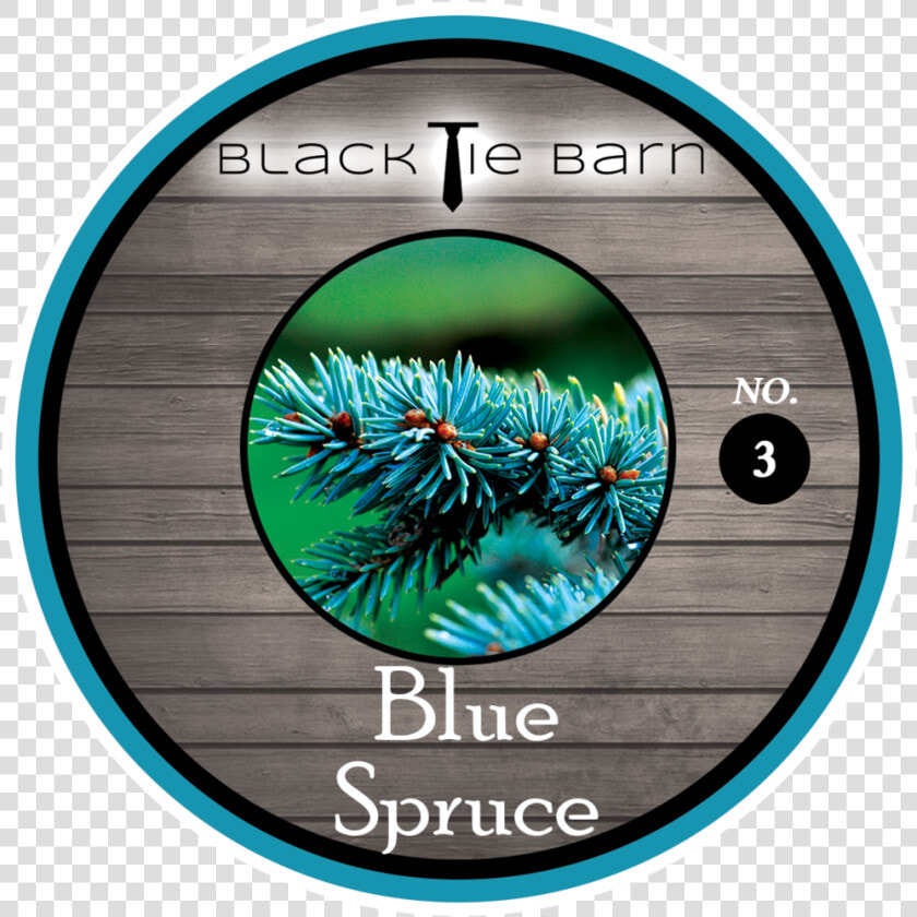 Blue Spruce  HD Png DownloadTransparent PNG