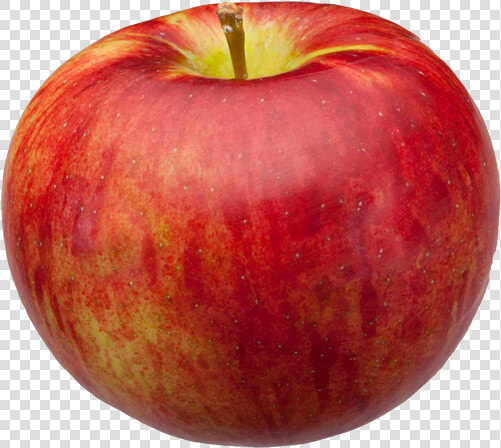 Cortland Apple Png  Transparent PngTransparent PNG