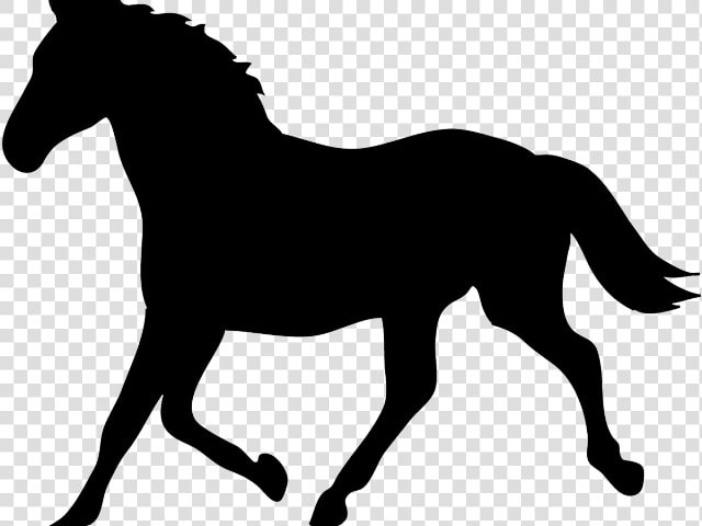 Hound Clipart Horse   Stencil Of A Horse  HD Png DownloadTransparent PNG