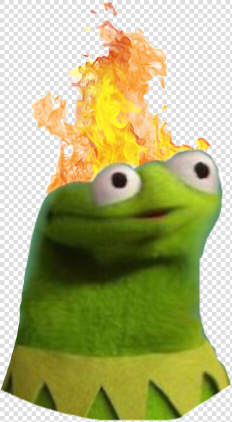  fire  kermit  derpface  stupidfriends  mylife  lazylooks   Derp Kermit The Frog  HD Png DownloadTransparent PNG