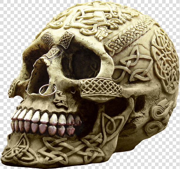 Pierced Celtic Tribal Skull   Nose On A Skull  HD Png DownloadTransparent PNG