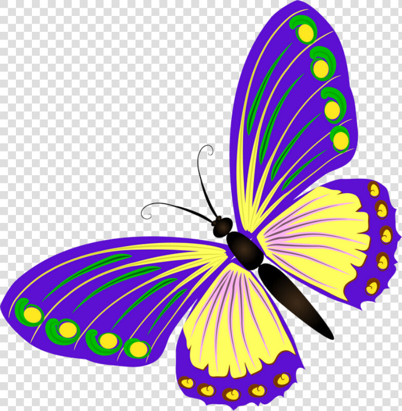 ‿✿⁀butterflies‿✿⁀ Butterfly Clip Art  Watercolor Cards    Бабочка Картинка Без Фона  HD Png DownloadTransparent PNG