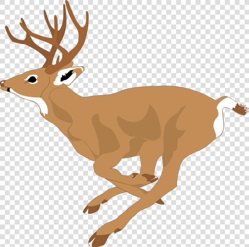 Running Deer Clip Art   Running Deer Clipart  HD Png DownloadTransparent PNG