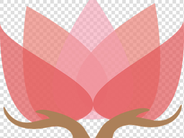 Flor De Loto Png   Png Download   Meditation  Transparent PngTransparent PNG