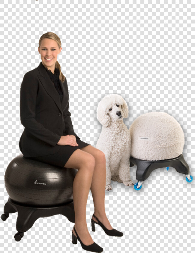 Best Chair For Back Pain   Sitting  HD Png DownloadTransparent PNG