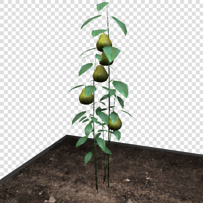 Pearthing Fruit   Lime   Empyrion Galactic Survival Fruit  HD Png DownloadTransparent PNG