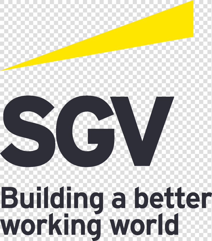 Confident Gray Sgv Stacked Copy   Ernst  amp  Young  HD Png DownloadTransparent PNG