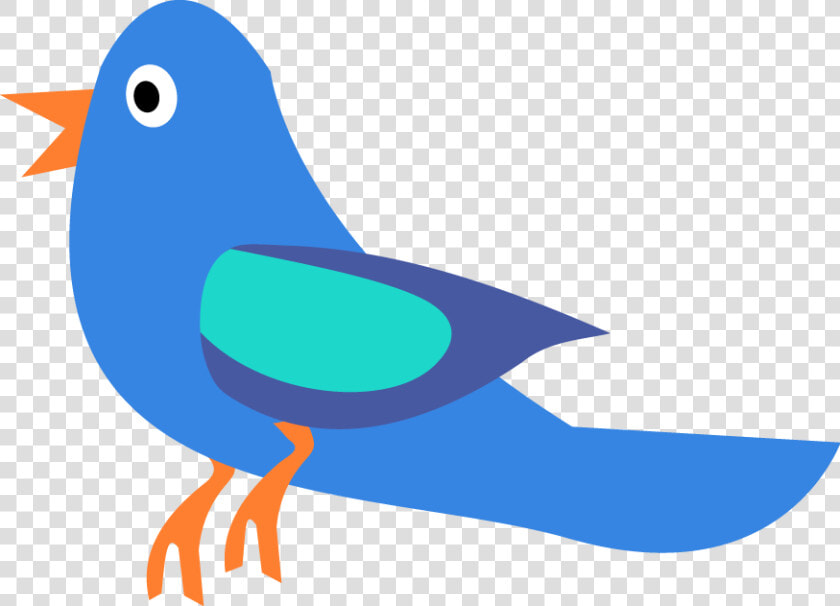 Mountain Bluebird  HD Png DownloadTransparent PNG