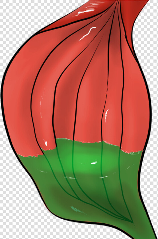 Free To Use Stomach With Acid  HD Png DownloadTransparent PNG