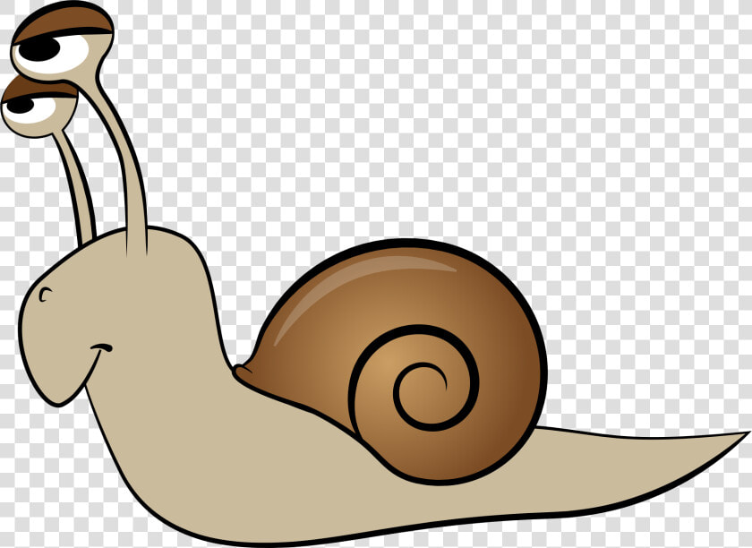 Snail Animation Clip Art   Animals That Crawl Clipart  HD Png DownloadTransparent PNG