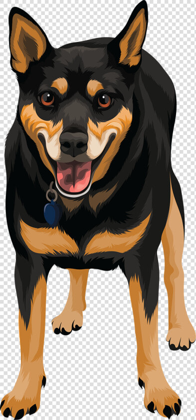 Wall e Lee   Rottweiler  HD Png DownloadTransparent PNG