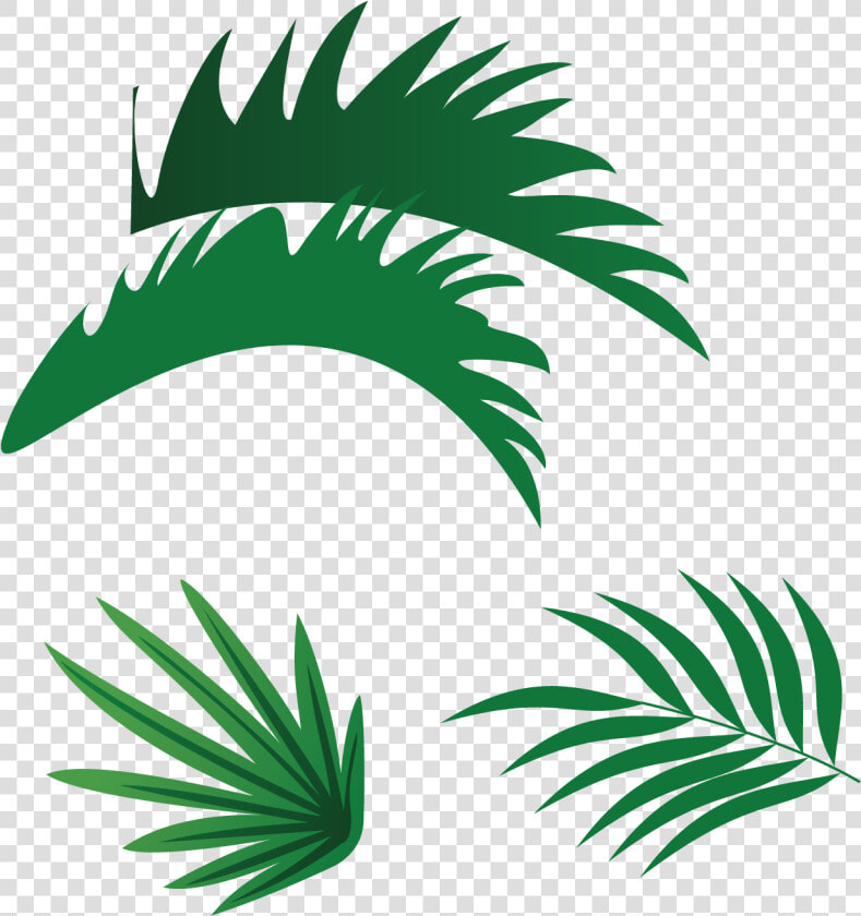 Vektor Daun Png  Transparent PngTransparent PNG