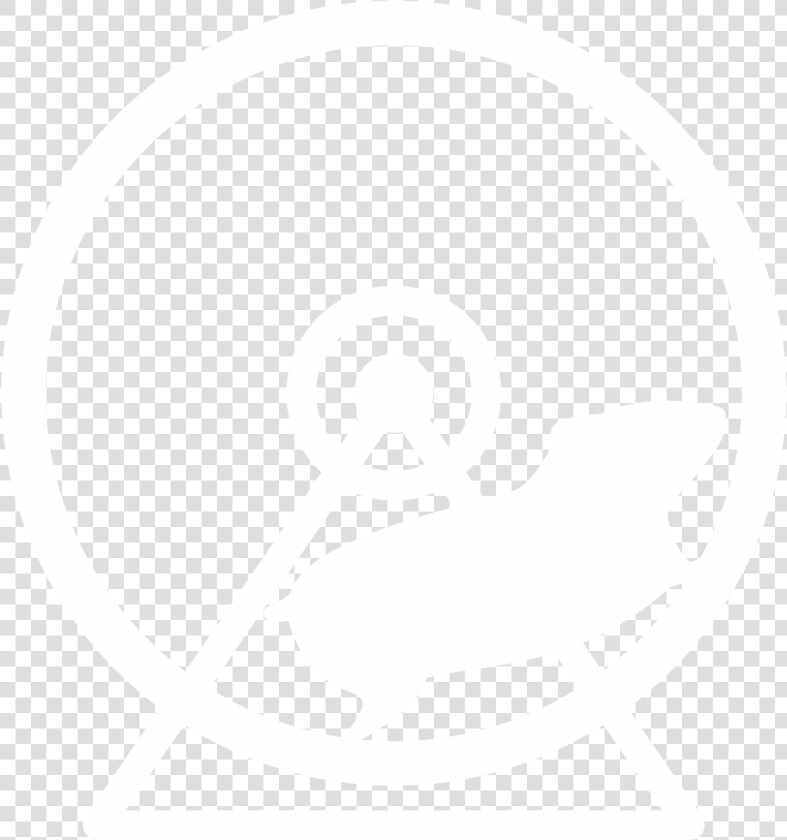 Icon Hamster Wheel   Hamster Wheel And Graphic  HD Png DownloadTransparent PNG