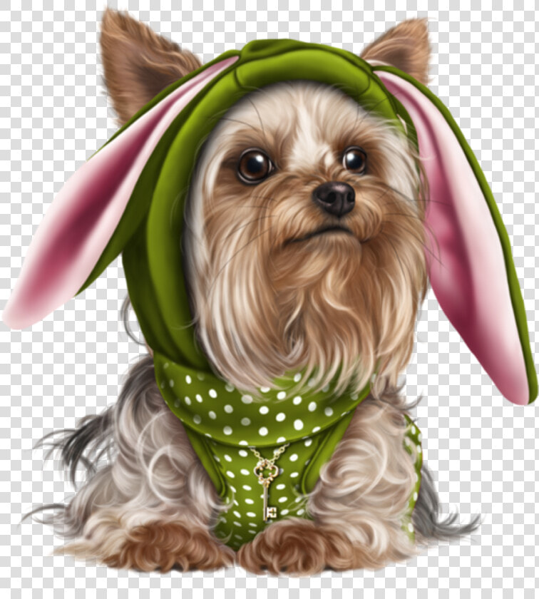 Figurinha Cachorro Png   Png Download   Yorkie Transparent  Png DownloadTransparent PNG