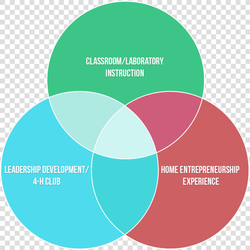 How Agricorps Creative Diagram Of Antigone Staage Creative   Three Components Of An Agricultural Education Program  HD Png DownloadTransparent PNG