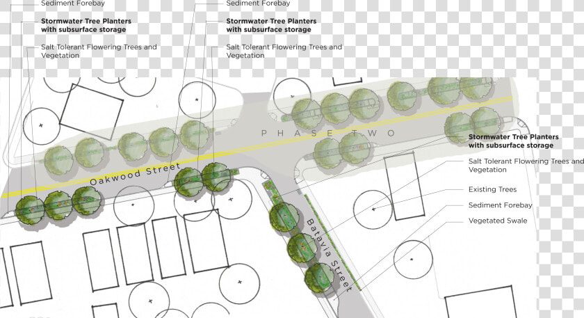 Existing Trees Plan Png  Transparent PngTransparent PNG