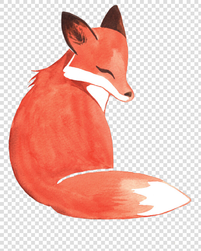 Weileash Available On Redbubble   Transparent Watercolor Fox Clipart  HD Png DownloadTransparent PNG