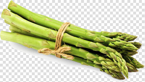 Asparagus Png File   Asparagus Png  Transparent PngTransparent PNG