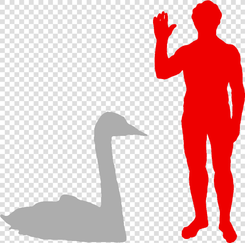 Biggest Owl Compared To Human  HD Png DownloadTransparent PNG