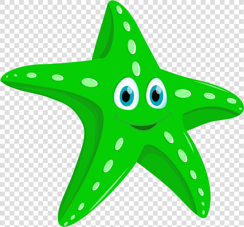 Starfish Clip Art Image Portable Network Graphics Vector   Star Fish Clip Art  HD Png DownloadTransparent PNG