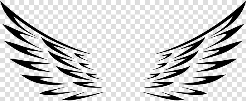 One  Two  Three   Angel Wings Png Vector  Transparent PngTransparent PNG