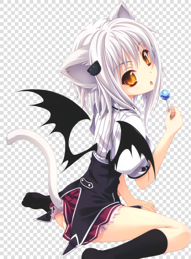 No Caption Provided   High School Dxd Cat  HD Png DownloadTransparent PNG