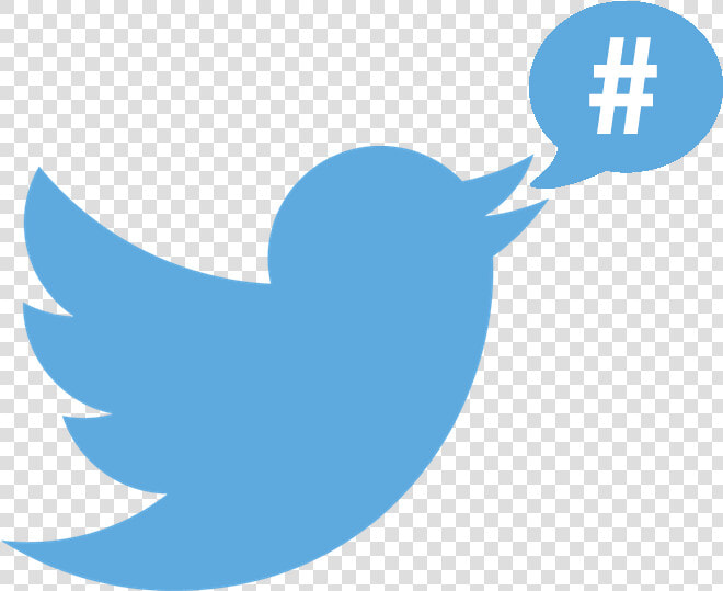 Twitter Logo Hashtag   Twitter Logo With Hashtag  HD Png DownloadTransparent PNG