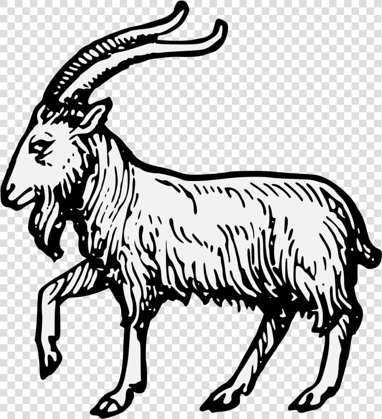 Goat   Goat Passant  HD Png DownloadTransparent PNG