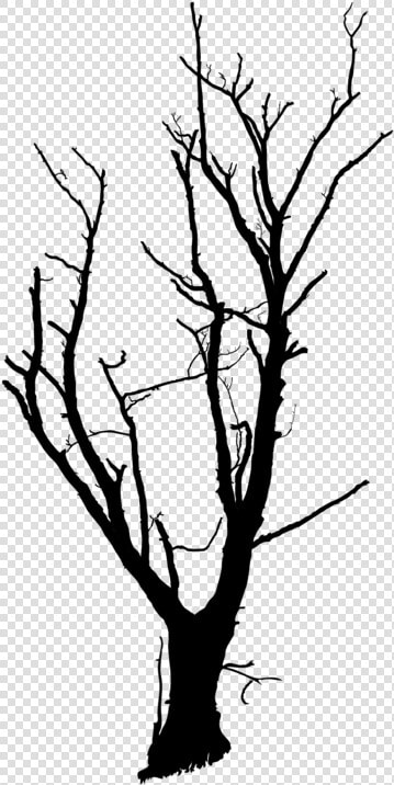 Trunk Tree Branch Snag Drawing Cc0   Png Transparent Dead Trees  Png DownloadTransparent PNG