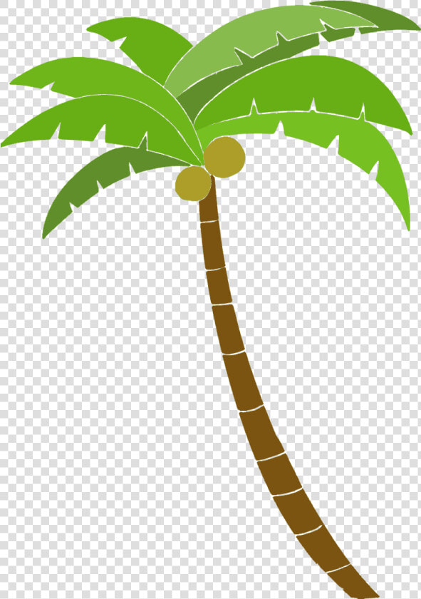 Palm Tree Vector Graphics To Download Vexels   Palm Tree Vector Png  Transparent PngTransparent PNG