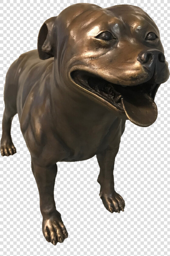 Staffordshire Bull Terrier  HD Png DownloadTransparent PNG