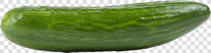 Transparent Cucumber Png   Cucumber  Png DownloadTransparent PNG