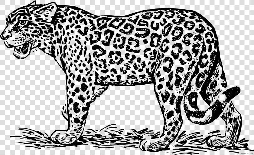 Jaguar Transparent Black And White   Clip Art Black And White Jaguar  HD Png DownloadTransparent PNG