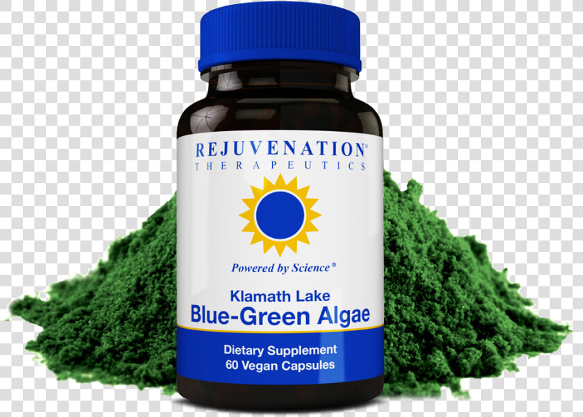 Klamath Lake Blue Green Algae   Spirulina  HD Png DownloadTransparent PNG