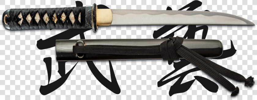 Scabbard  HD Png DownloadTransparent PNG