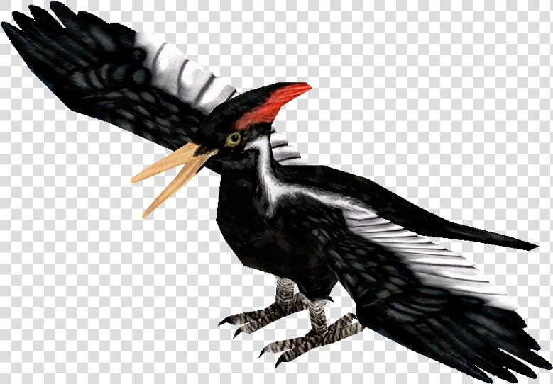 Lv7nkzr   Zt2 Woodpecker  HD Png DownloadTransparent PNG