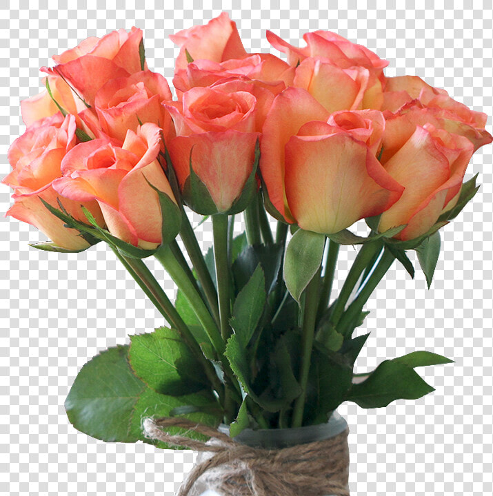 High Quality Natural Rose Flowers Fresh Cut Flowers   High Quality Rose Flower Png  Transparent PngTransparent PNG