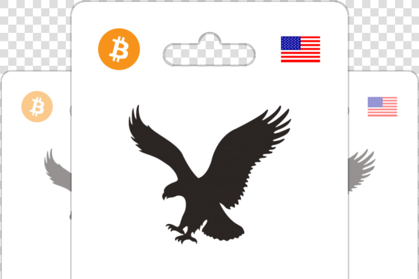 Transparent American Eagle Png   American Eagle Outfitters Vector  Png DownloadTransparent PNG