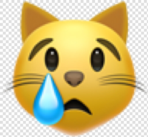  emoji  emojicat  cat  smiley  smail  cry  crying  tear   Crying Cat Face Emoji  HD Png DownloadTransparent PNG