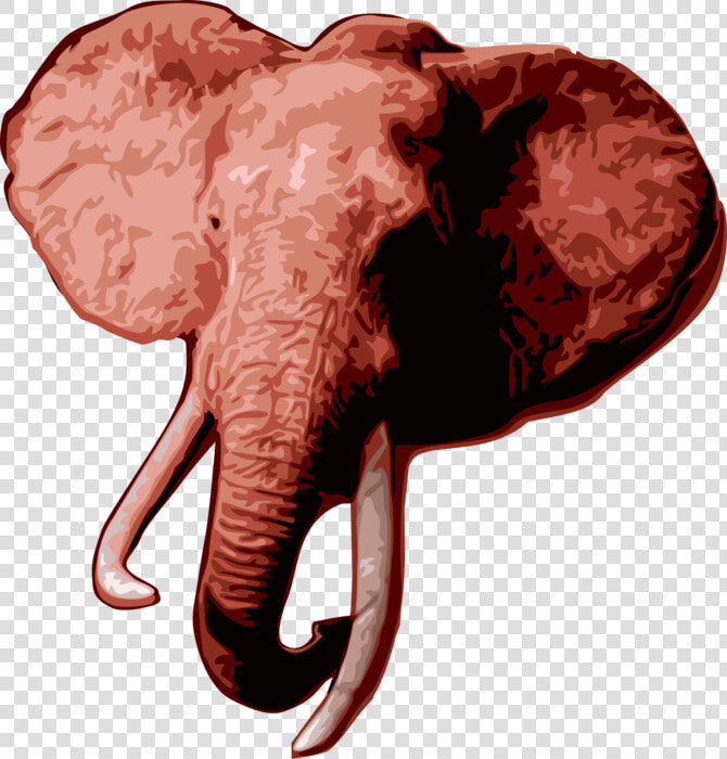 Vector Illustration Of African Elephant Head With Tusks   Indian Elephant  HD Png DownloadTransparent PNG