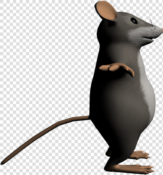 Transparent Cartoon Rat Png   Cartoon Rat Transparent Background  Png DownloadTransparent PNG