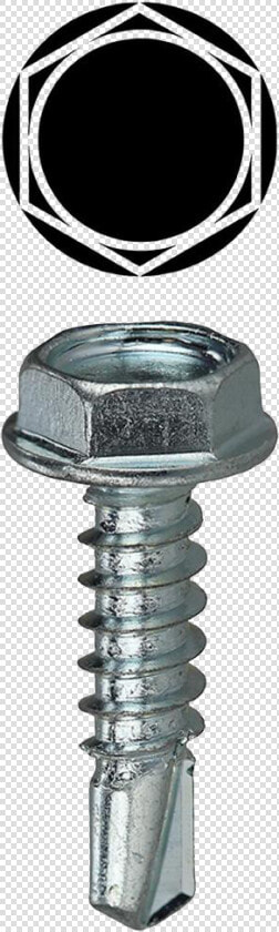 Screw Bolt Png Background   Screw  Transparent PngTransparent PNG