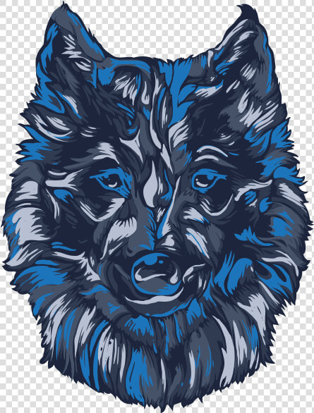 Coyote   Wolfdog  HD Png DownloadTransparent PNG