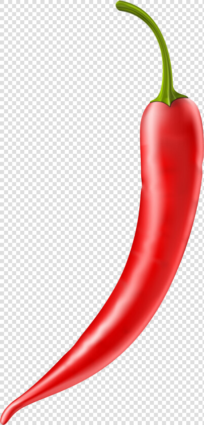 Serrano pepper   Spicy Food Icon Png  Transparent PngTransparent PNG